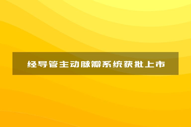 佰仁医疗经导管主动脉瓣系统获批上市——医休器械