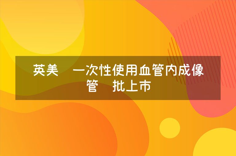 英美达一次性使用血管内成像导管获批上市